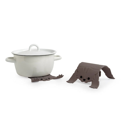 Scaredy Cat - Tampa Home & Garden Store