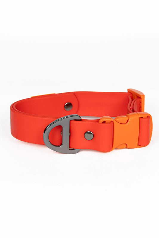 Scarlet Peaks Waterproof Dog Collar - Tampa Home & Garden Store