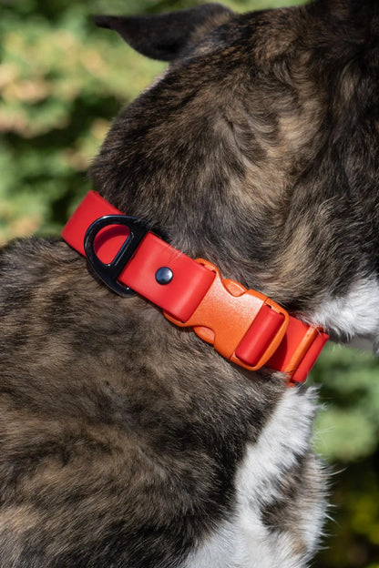 Scarlet Peaks Waterproof Dog Collar - Tampa Home & Garden Store