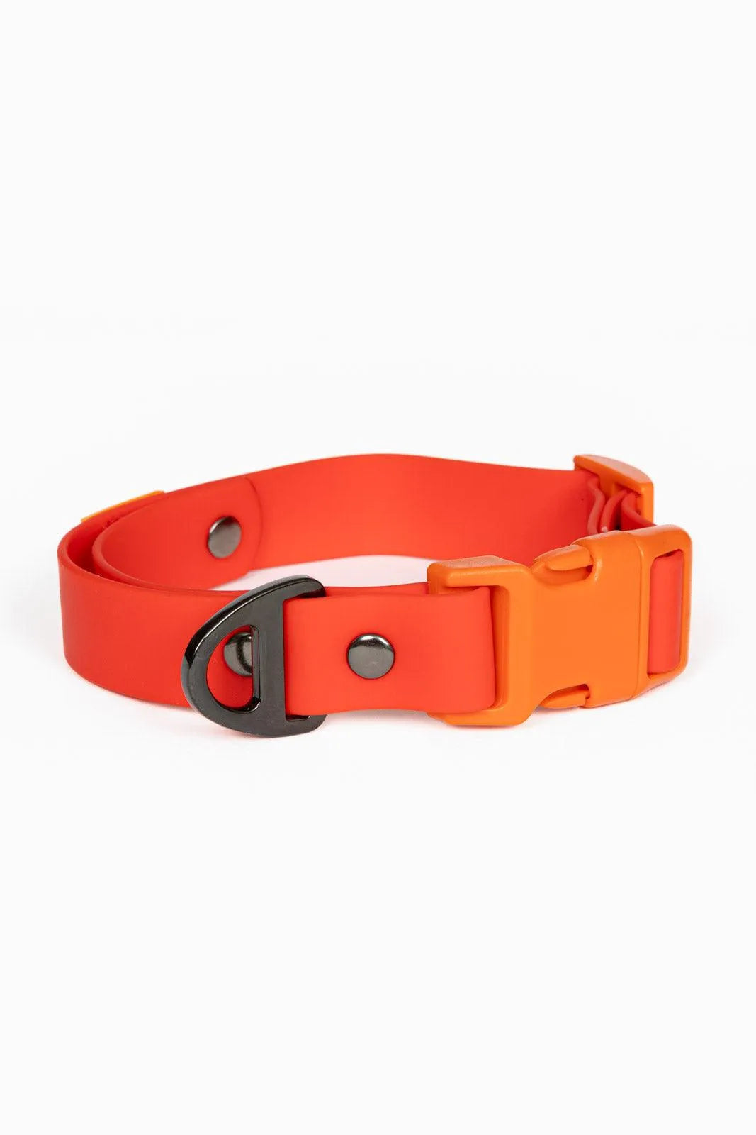 Scarlet Peaks Waterproof Dog Collar - Tampa Home & Garden Store