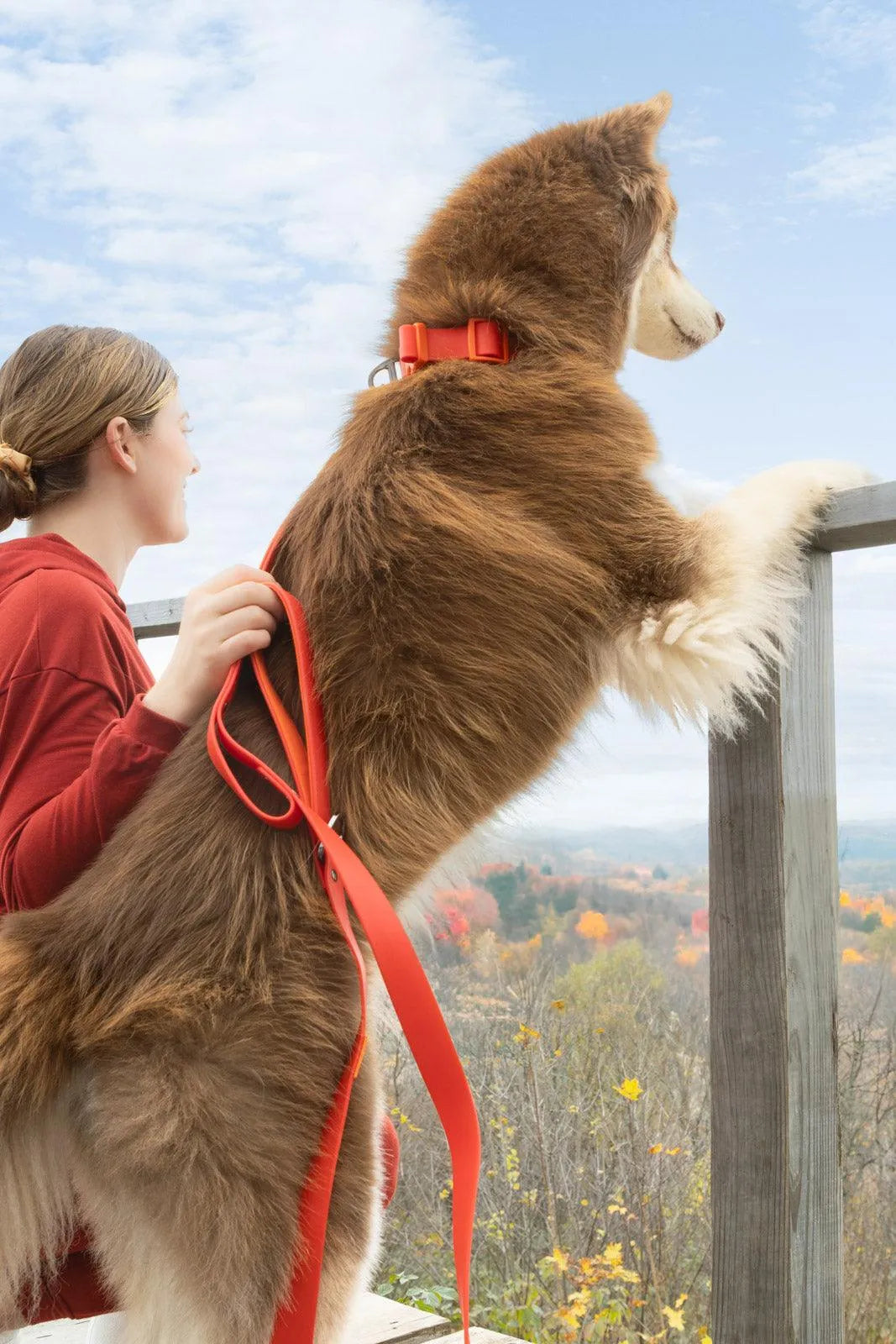 Scarlet Peaks Waterproof Leash - Tampa Home & Garden Store