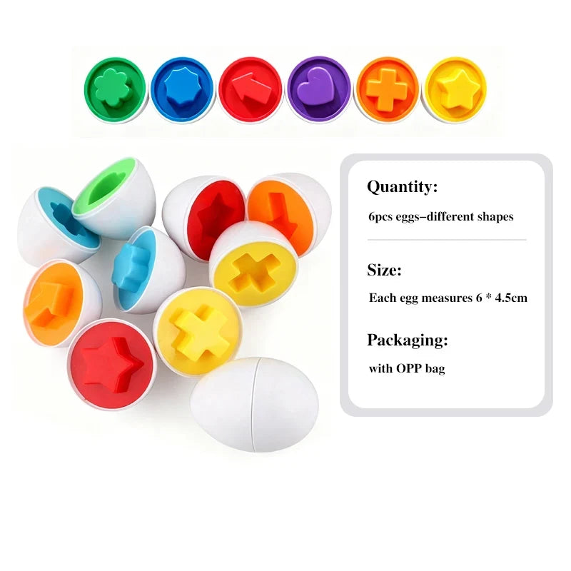 Montessori Smart Egg Shape Match Puzzle 6 eggs with shape cavities by FLIPSTYLEZLLC on Tampa Home & Garden Store