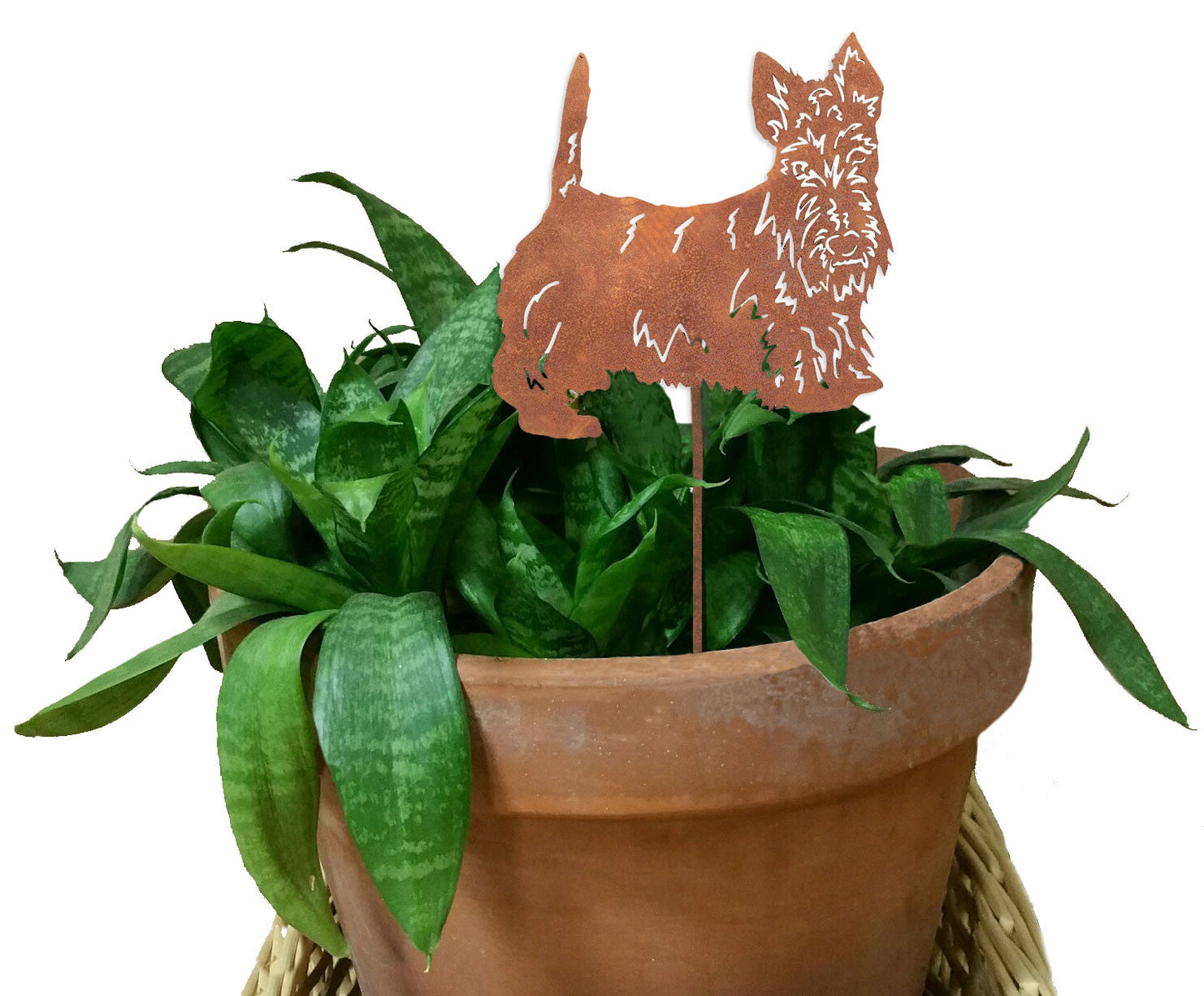 Scottish Terrier plant stake ornament in rust finish, Rustica Ornamentals, in terracotta pot on Tampa Home & Garden Store