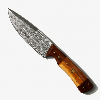 9-inch Damascus blade for Ever Outdoor TD-087 Trip by Titan International K with brown wood handle and brass rivets on Tampa Home & Garden Store