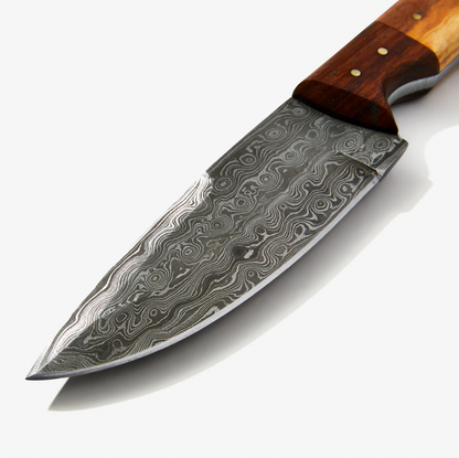 9in Damascus blade for Ever Outdoor TD-087 by Titan K with wood handle and brass rivets on Tampa Home & Garden Store