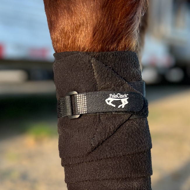 Horse PoloCinch™ | Equine Polo Wrap Guards