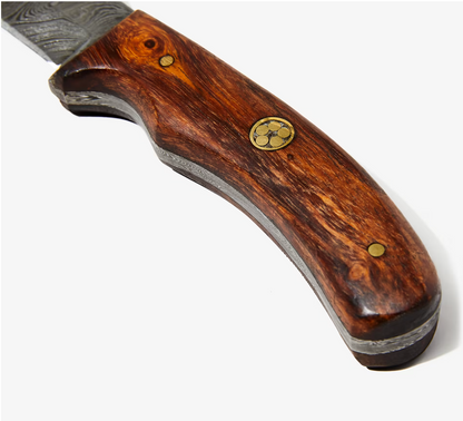 Damascus steel skinner knife with rosewood grip and brass pins Titan Td-177 on Tampa Home & Garden Store