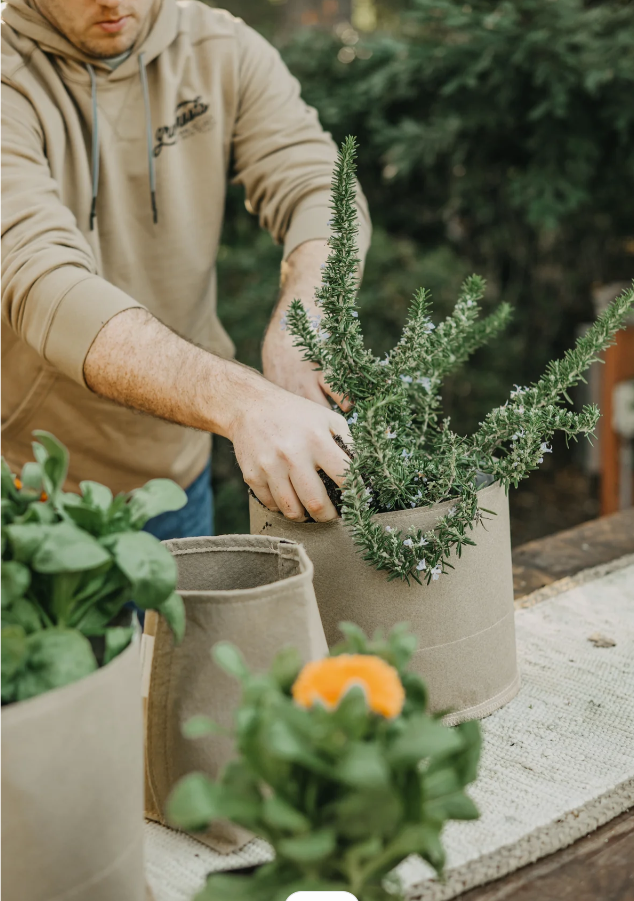 Pots en tissu classiques Grass Roots