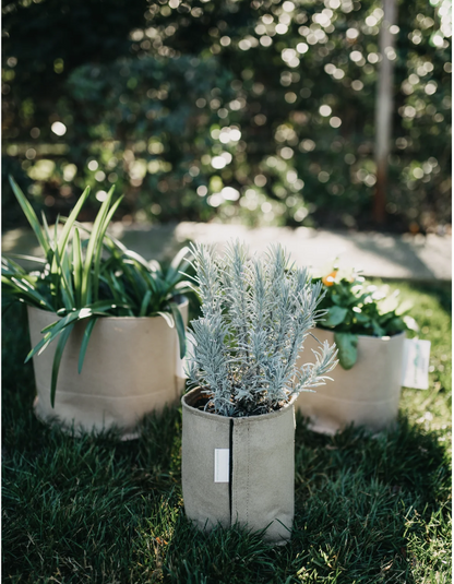 Pots en tissu classiques Grass Roots