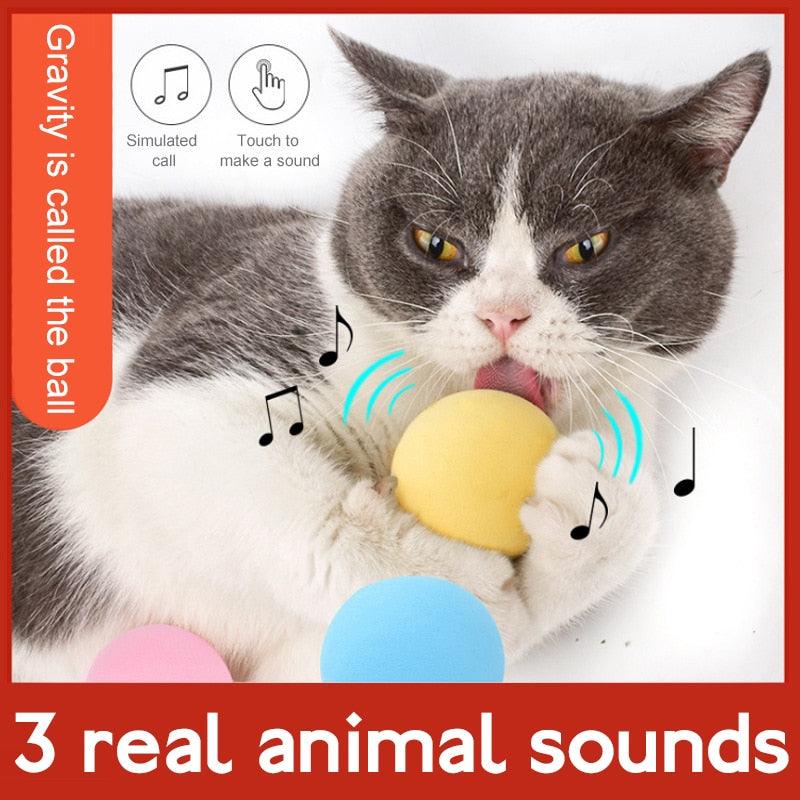 Stevvex Gravity Ball cat toy set, 3-color sound balls (yellow, blue, pink) with a cat on Tampa Home & Garden Store
