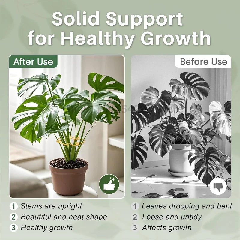 Indoor Plant Stem Support Clips for Houseplants
