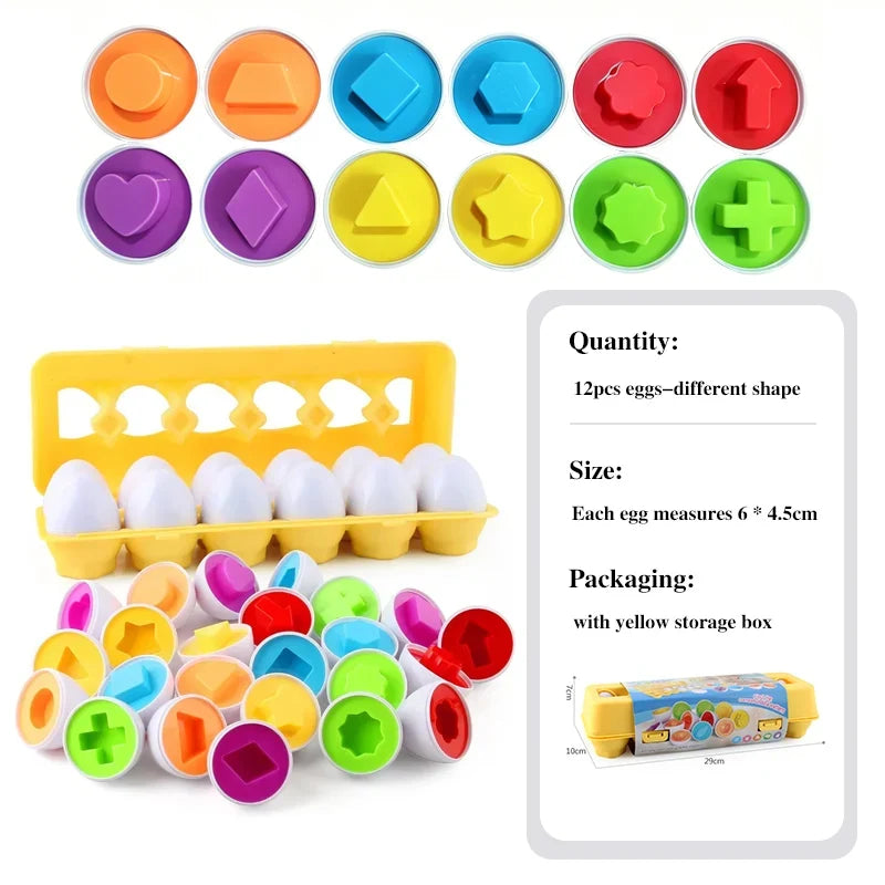 Montessori egg shape-matching puzzle for kids, 12 colorful eggs with molds and yellow box on Tampa Home & Garden Store