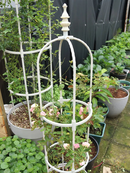Climbing Plant Support Frame and a Garden Stand