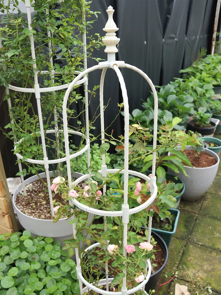 Plant Climbing Support Frame and Garden Trellis
