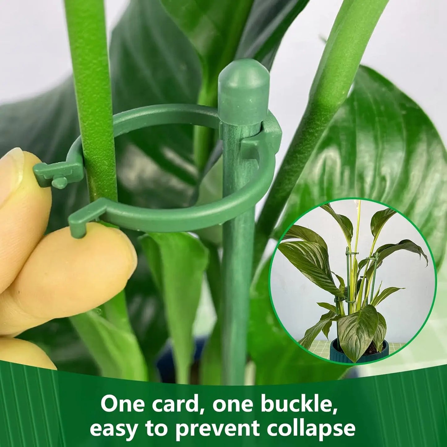 Adjustable Plant Rods and Clips for Garden Vines