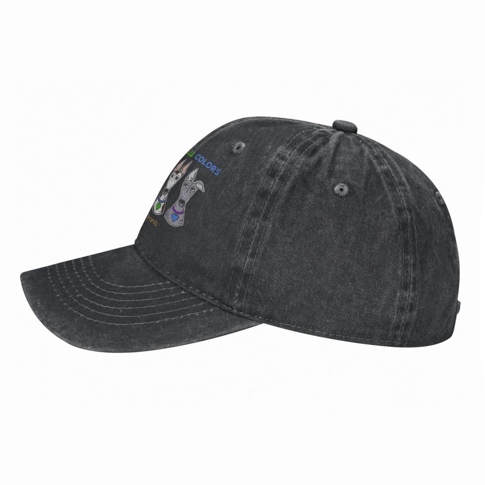 Peace Love Caps denim cap with curved brim and small colorful graphic on front on Tampa Home & Garden Store