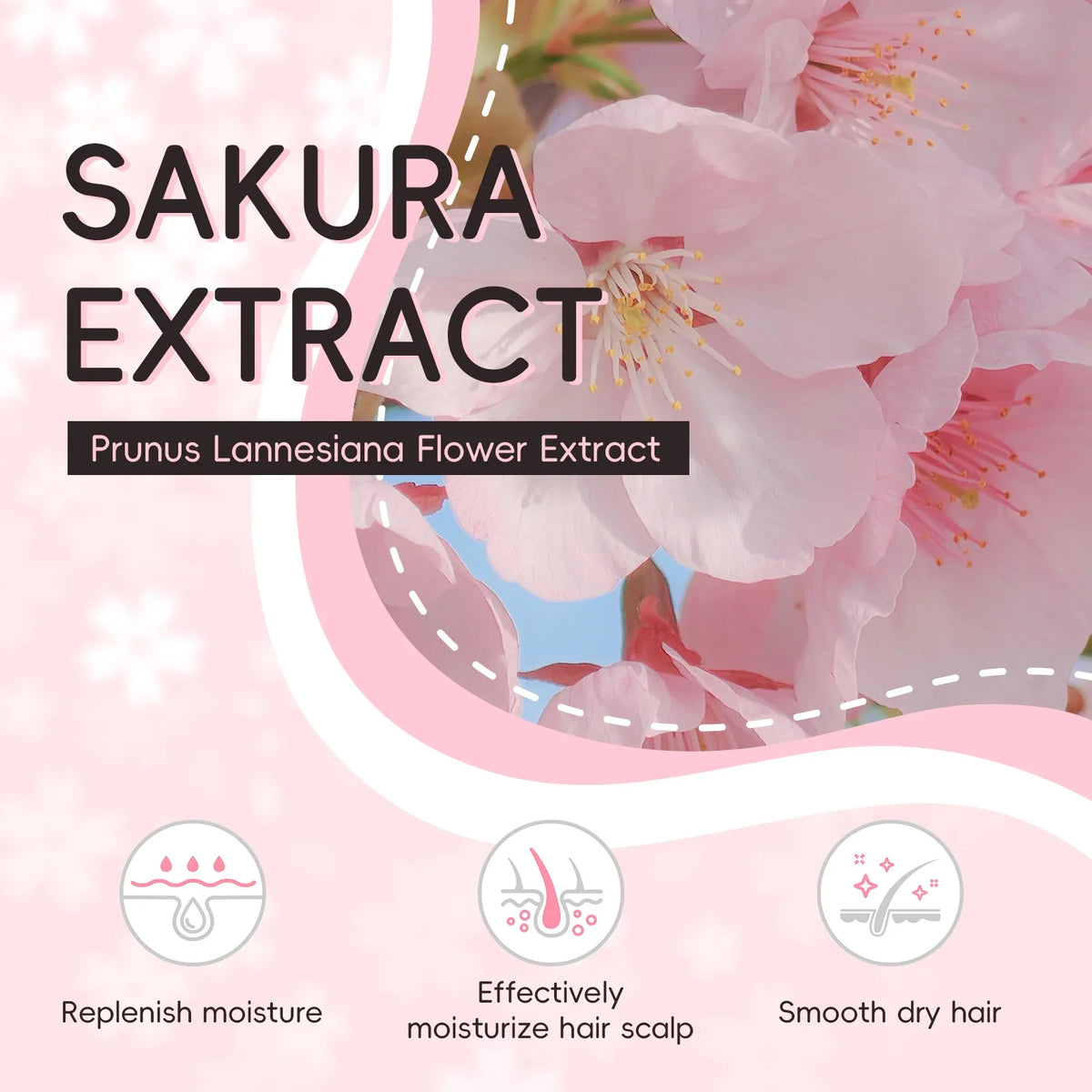 LAIKOU Japan Sakura Shampoo Sakura Extract blossoms anti split ends frizz control Silcy Skin on Tampa Home & Garden Store