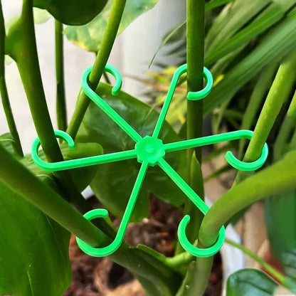 Indoor Plant Support Stakes and Plastic Hoops