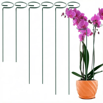 30 Single Stem Plant Support Stakes in the Yard