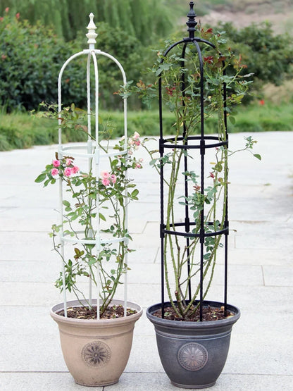 Climbing Plant Support Frame and a Garden Stand