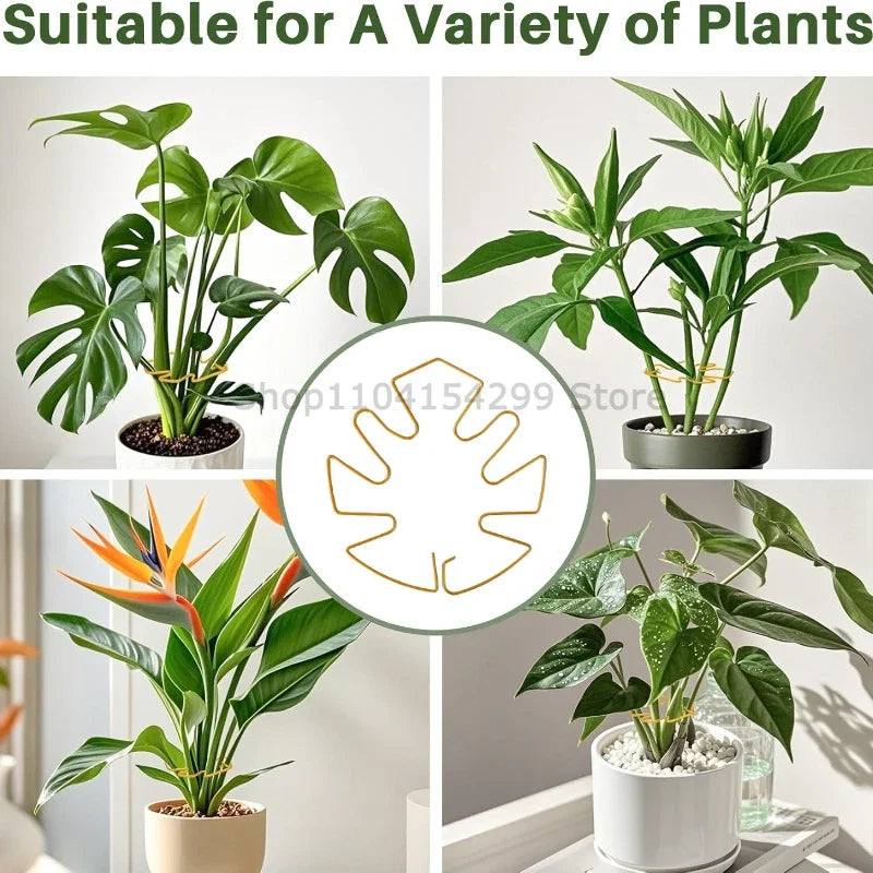 Indoor Plant Stem Support Clips for Houseplants