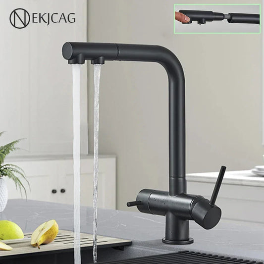 DecorBites kitchen faucet with water filter tap and dual sprayer, matte black finish on Tampa Home & Garden Store