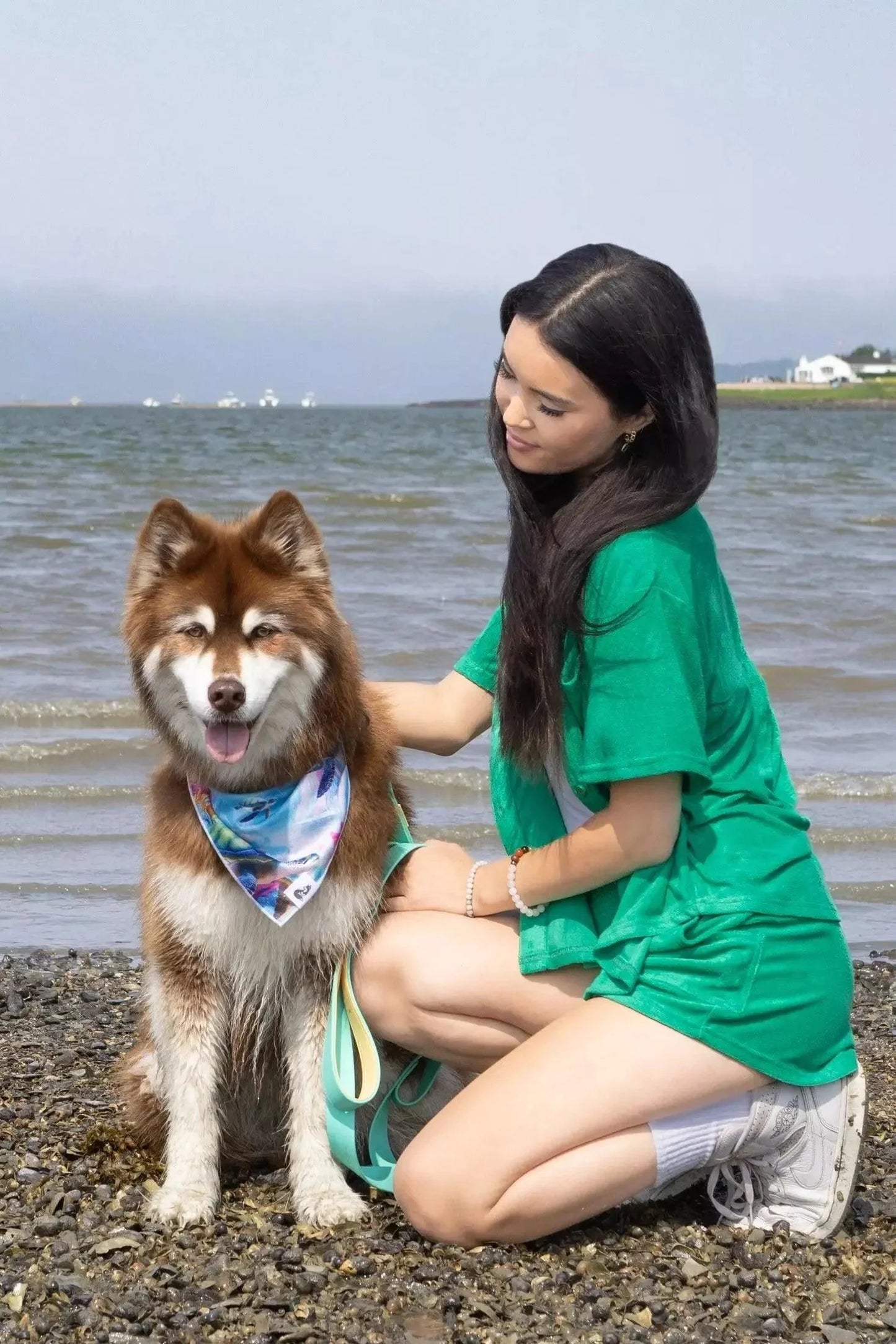 Sea Turtle Swim Dog Bandana - Tampa Home & Garden Store