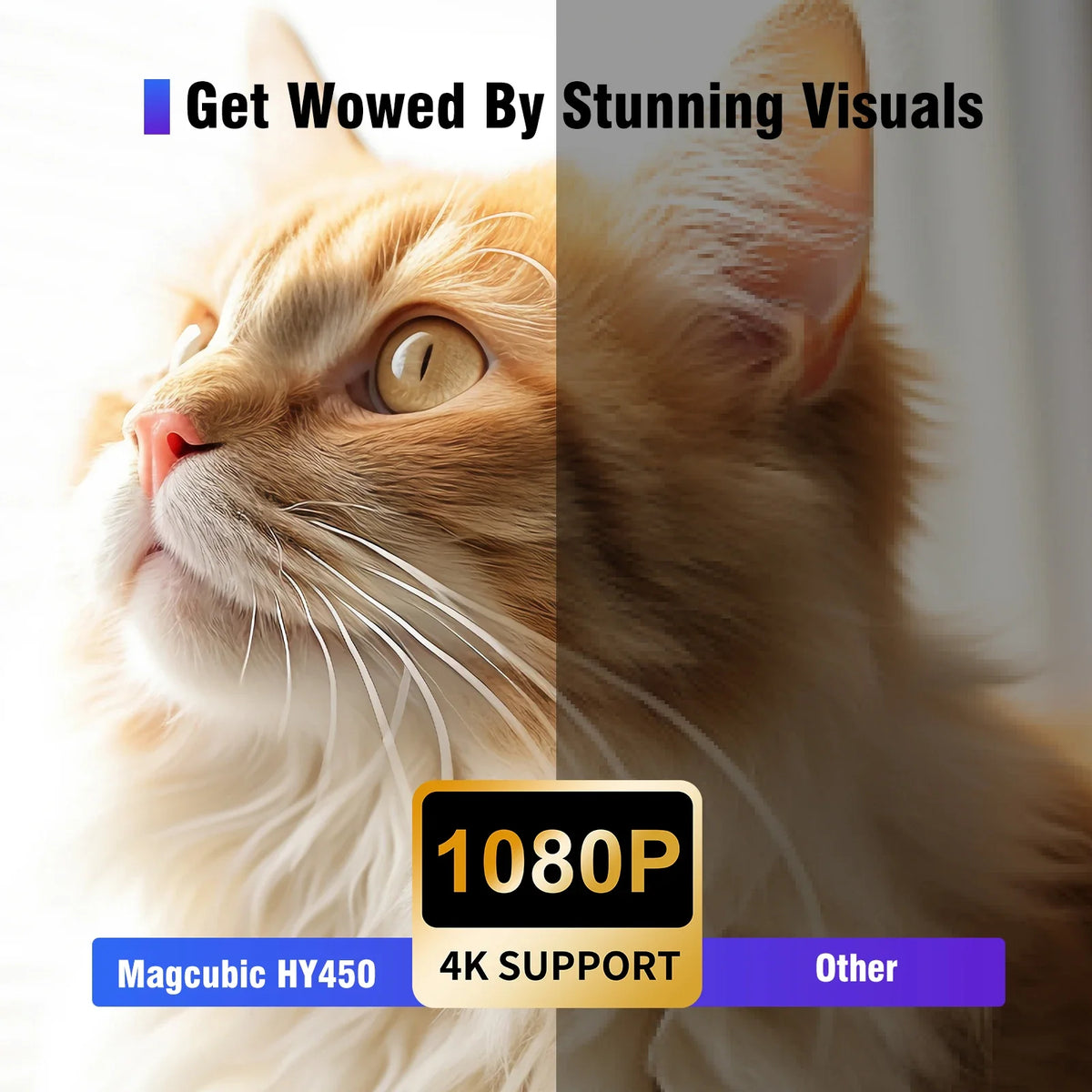 Short Throw 1080P Portable Projector banner with cat collage and 1080P badge on Tampa Home & Garden Store