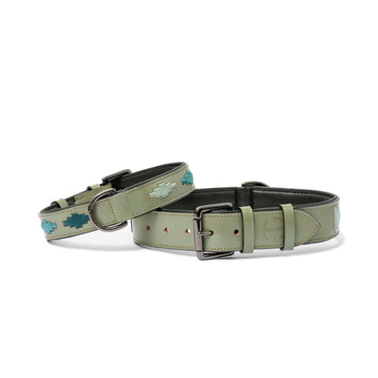 Sea Glass Leather Dog Collar Halter Ego, olive-green leather with turquoise accents on Tampa Home & Garden Store