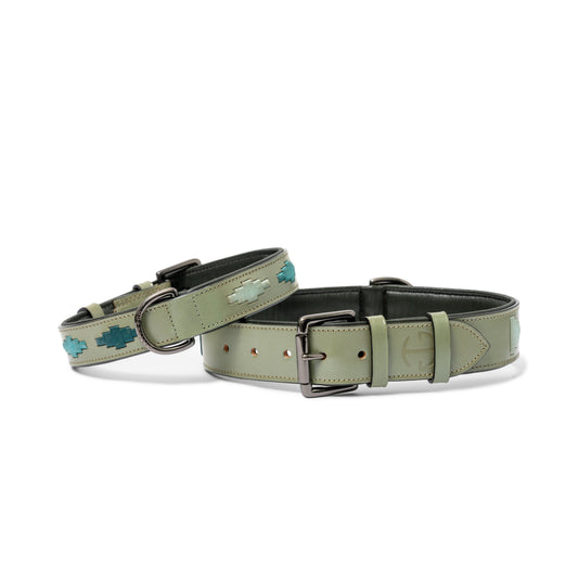Sea Glass Leather Dog Collar Halter Ego, olive-green leather with turquoise accents on Tampa Home & Garden Store
