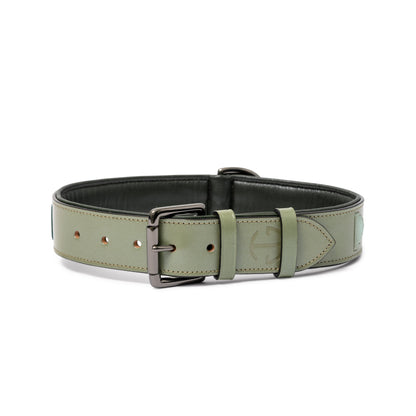 Sea Glass Leather Dog Collar by Halter Ego; olive leather, padded interior, metal buckle on Tampa Home & Garden Store