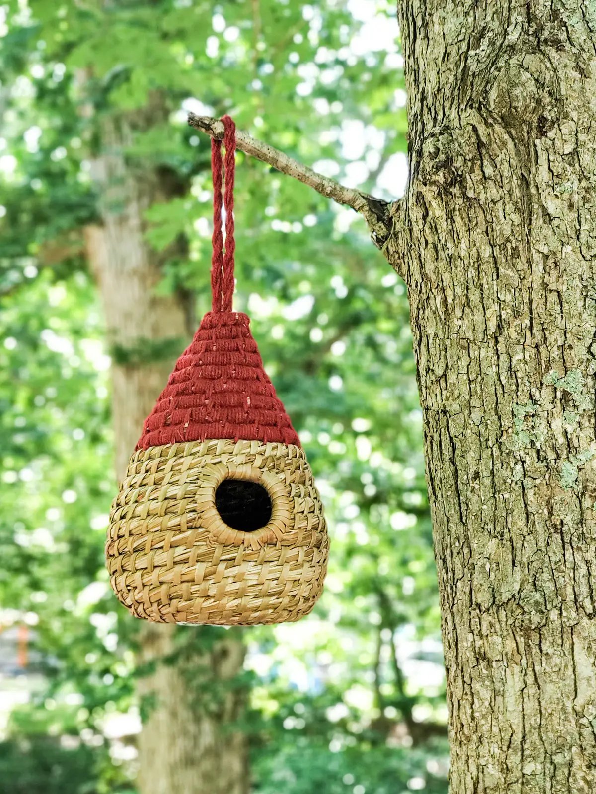 Seagrass Birdhouse - Dewdrop - Tampa soil911.com