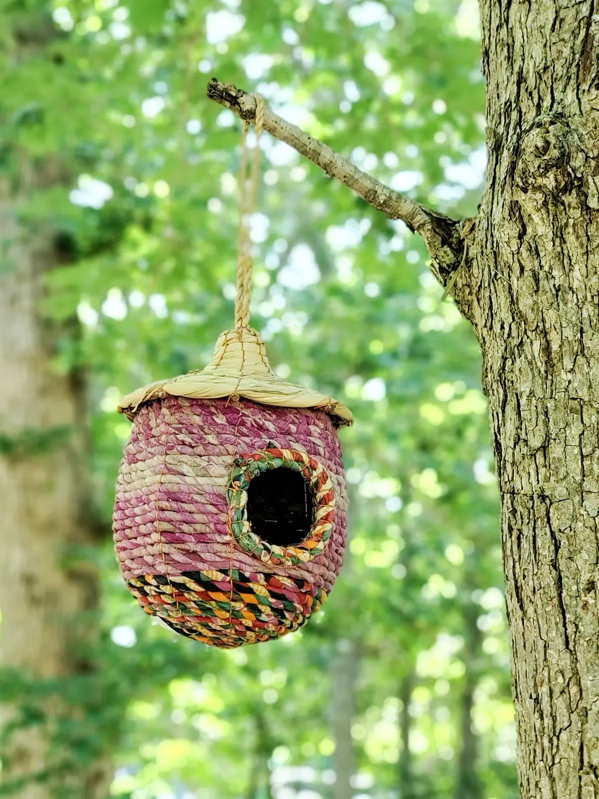 Seagrass & Sari Birdhouse - Acorn - Tampa Home & Garden Store