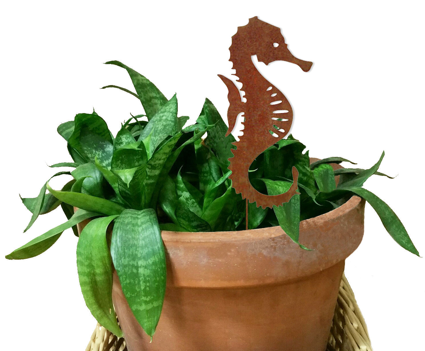 Seahorse plant stake by Rustica Ornamentals in rust finish among leaves in terracotta pot on Tampa Home & Garden Store