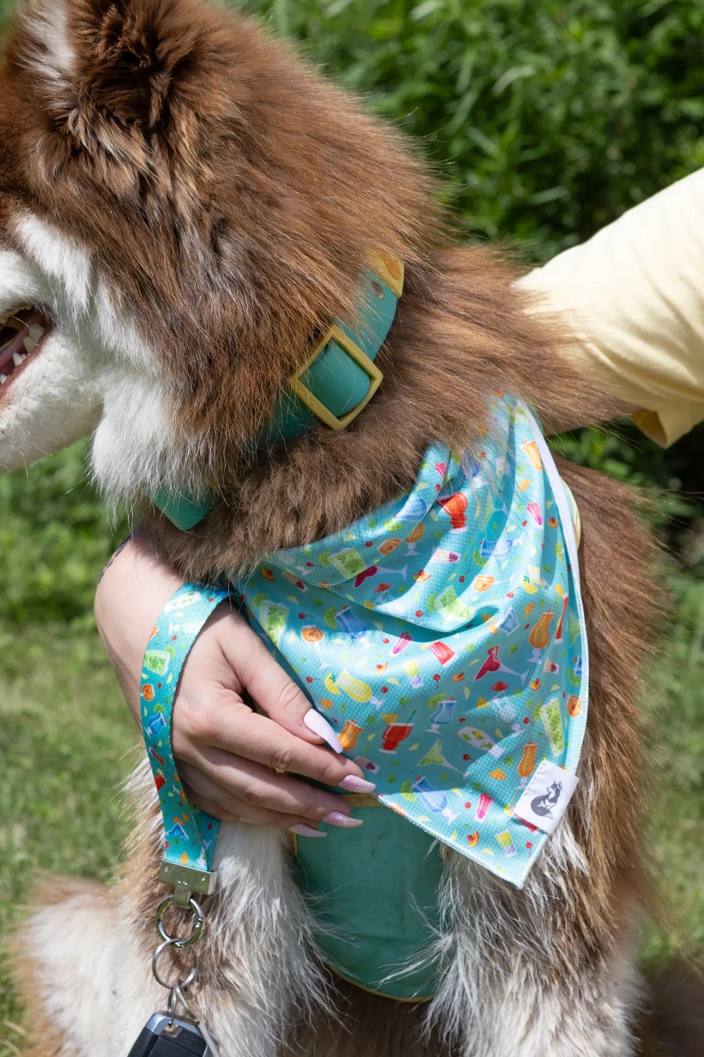 Seaside Sips Dog Bandana & Matching Keychain - Tampa Home & Garden Store