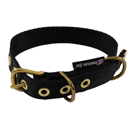 Dog Collar seatbelt style, black nylon with gold hardware, American Dog on Tampa Home & Garden Store