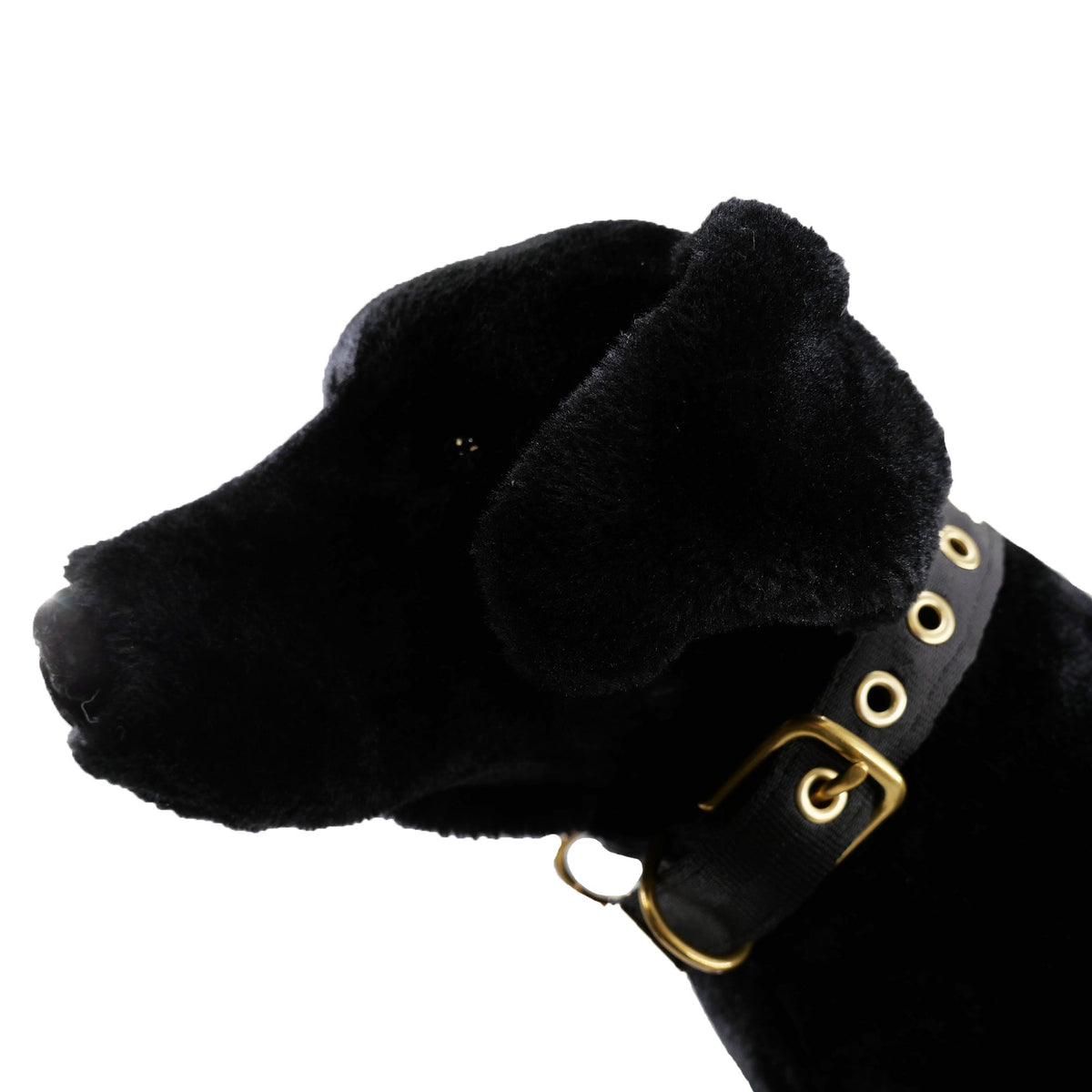 Collars Seatbelt dog collar with black plush lining and gold hardware on Tampa Home & Garden Store