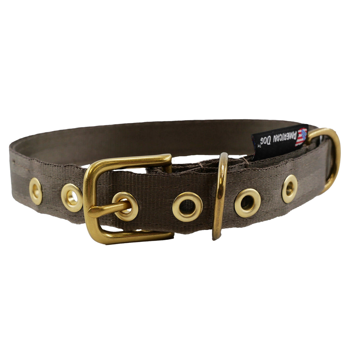 Brown seatbelt dog collar with brass hardware and rivets, American Dog brand on Tampa Home & Garden Store
