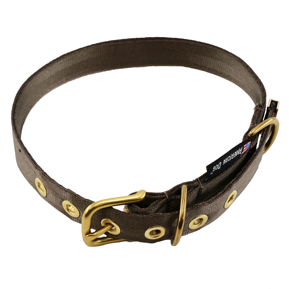 Seatbelt dog collar brown leather with brass buckle and grommets American Dog brand on Tampa Home & Garden Store