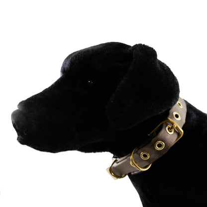 Collars Seatbelt dog collar American Dog tan strap brass hardware on black plush dog Tampa on Tampa Home & Garden Store