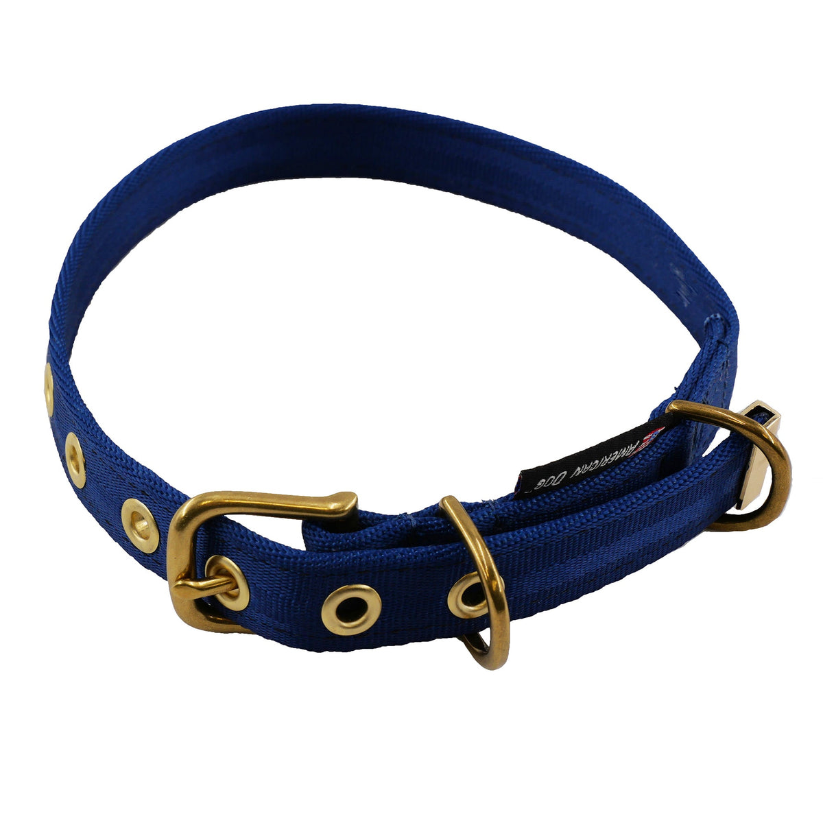 Navy blue American Dog dog collar with brass buckle and D-ring on nylon strap on Tampa Home & Garden Store