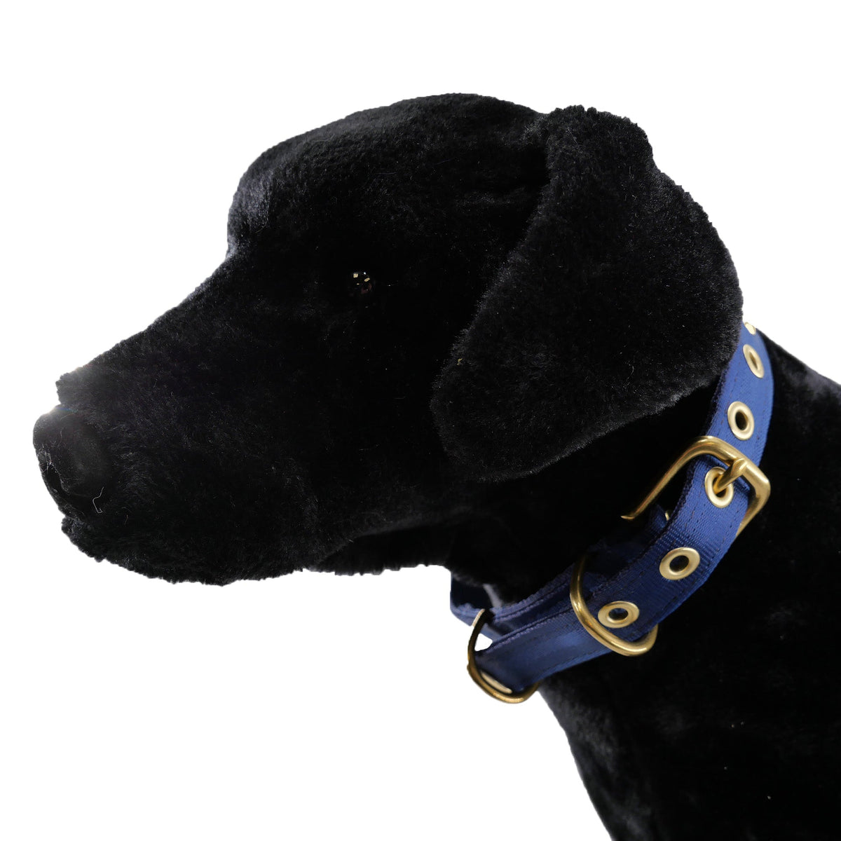 Seatbelt dog collar by American Dog, blue nylon strap with brass grommets adjustable fit on Tampa Home & Garden Store