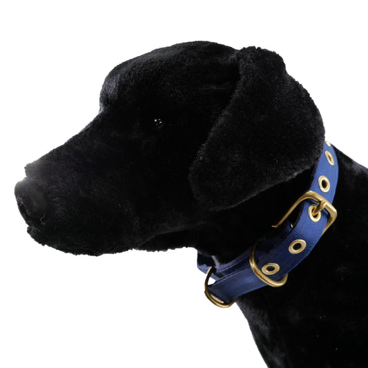 Seatbelt dog collar by American Dog, blue nylon strap with brass grommets adjustable fit on Tampa Home & Garden Store