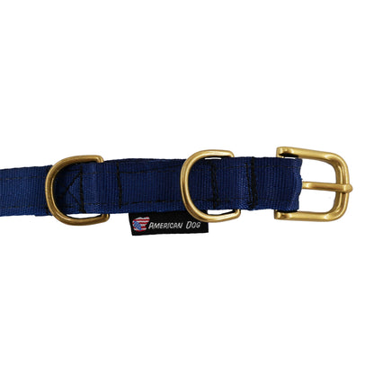 Collars Seatbelt blue nylon dog collar with brass hardware and American Dog tag on Tampa Home & Garden Store