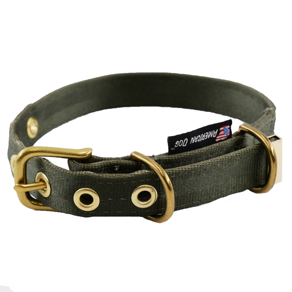 Dog collar seatbelt style in olive webbing with brass hardware and American Dog tag on Tampa Home & Garden Store