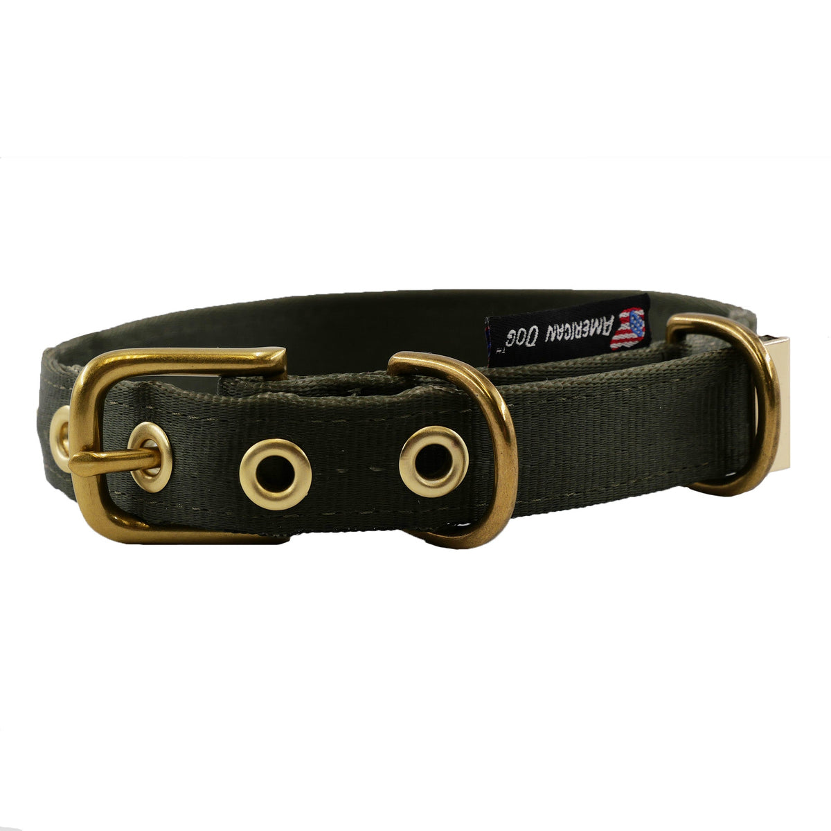 Seatbelt dog collar American Dog black nylon brass hardware on Tampa Home & Garden Store