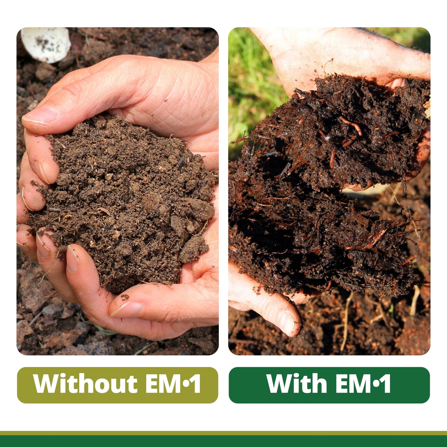 Compost Starter Beneficial Bacteria Concentrate | EM-1