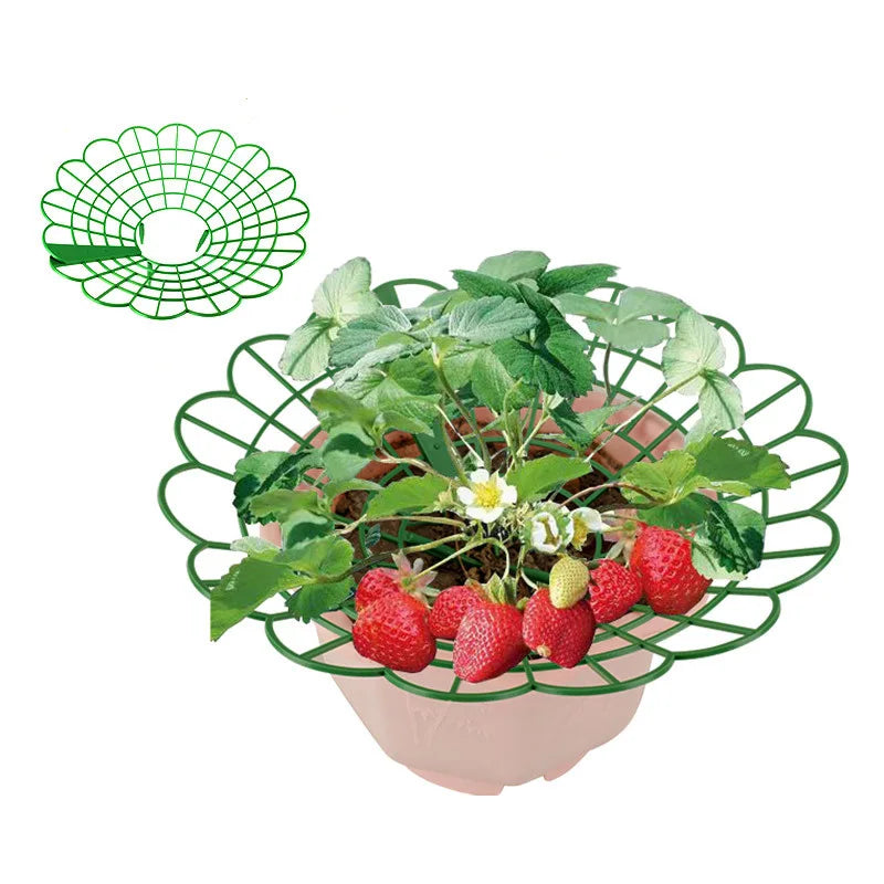 Green Plastic Strawberry Support Rack for Garden