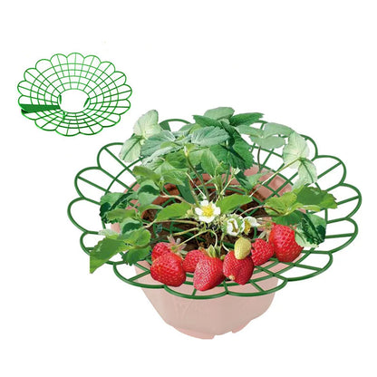 Green Plastic Strawberry Support Rack for Garden