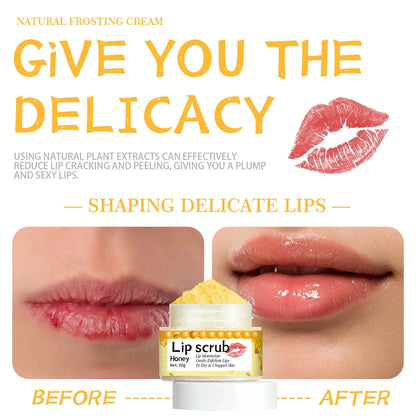Silcy Skin EELHOE Honey Lip Scrub jar with honey-colored scrub and two close-up lips on Tampa Home & Garden Store